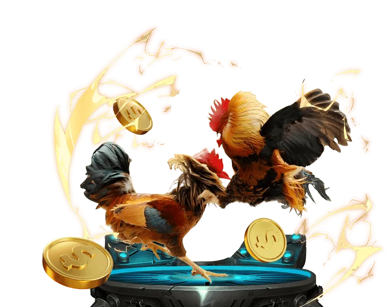 Giới thiệu chung về sự kiện đá gà BJ88